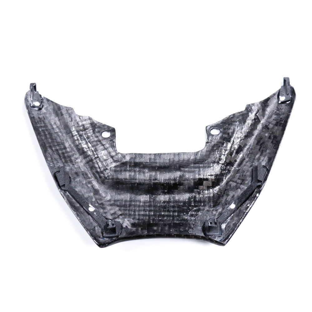 Carbon Hecklichtabdeckung Yamaha MT-09 2024-2025