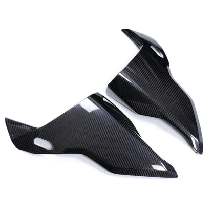 Carbon Frontverkleidung BMW S 1000 RR 2025-2026