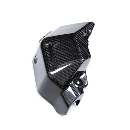 Carbon Kühler Ausgleichsbehälter Yamaha MT-09 2021-2025