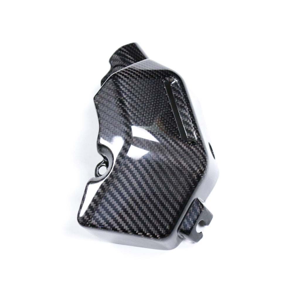 Carbon Kühler Ausgleichsbehälter Yamaha MT-09 2021-2025
