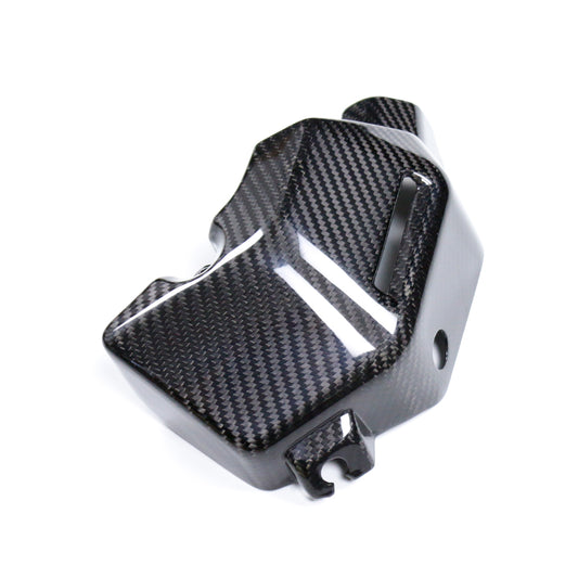 Carbon Kühler Ausgleichsbehälter Yamaha MT-09 2021-2025