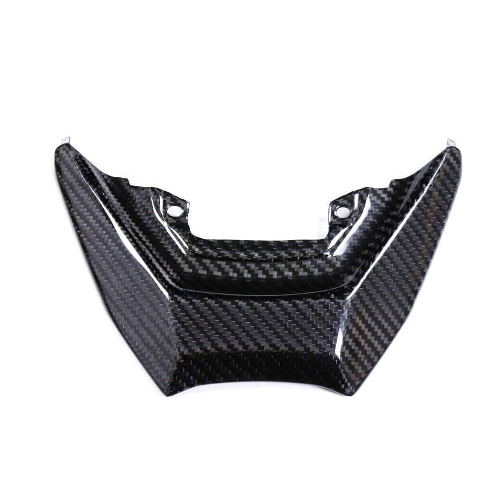 Carbon Hecklichtabdeckung Yamaha MT-09 2024-2025