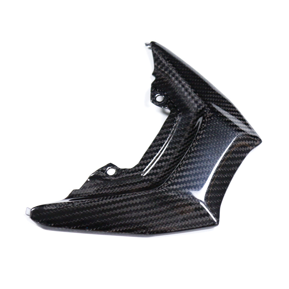 Carbon Hecklichtabdeckung Yamaha MT-09 2024-2025