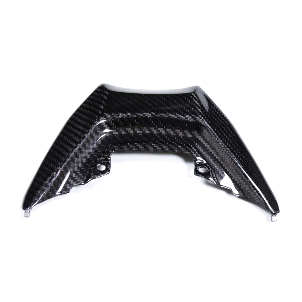 Carbon Hecklichtabdeckung Yamaha MT-09 2024-2025