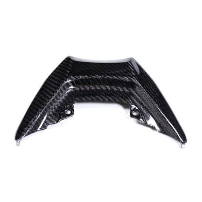 Carbon Hecklichtabdeckung Yamaha MT-09 2024-2025