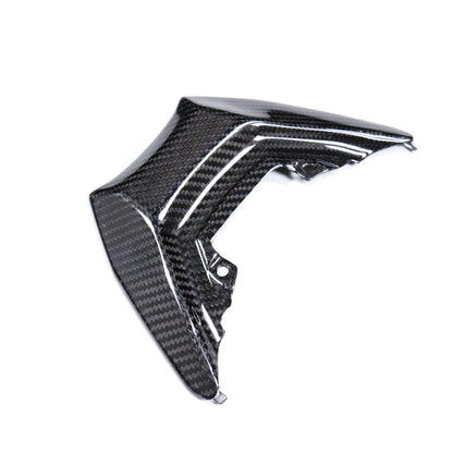 Carbon Hecklichtabdeckung Yamaha MT-09 2024-2025