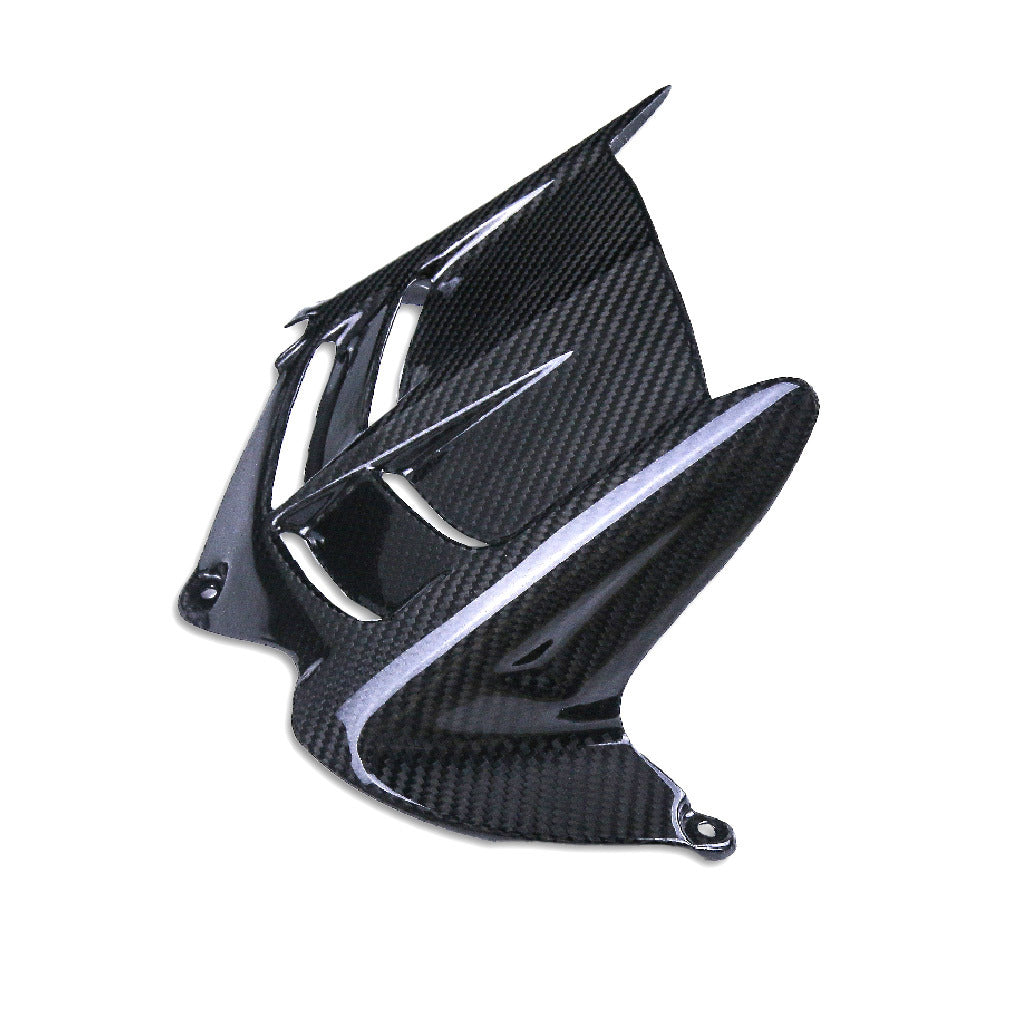 Carbon Hinterradabdeckung Kawasaki ZX-6R 2013-2023