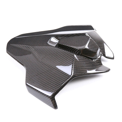 Carbon Soziusabdeckung BMW S 1000 RR 2023-2024