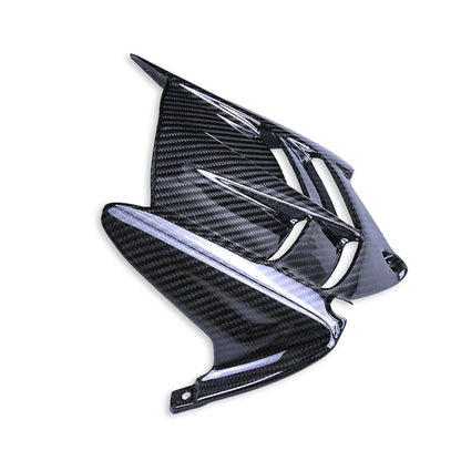 Carbon Hinterradabdeckung Kawasaki ZX-6R 2013-2023