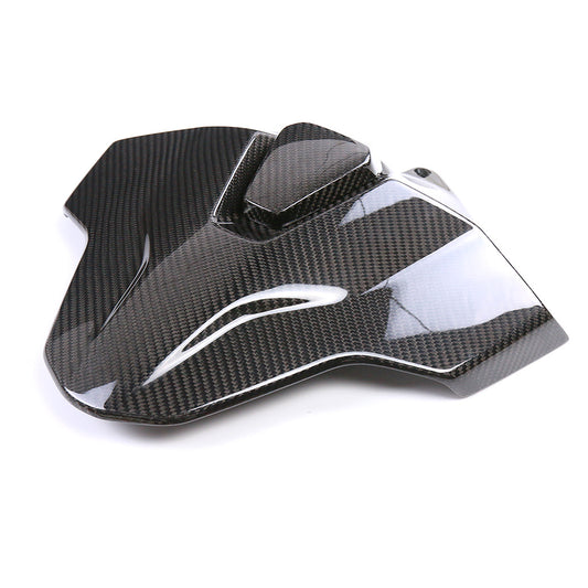 Carbon Soziusabdeckung BMW S 1000 RR 2023-2024