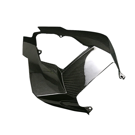 Carbon Heckverkleidung Oben BMW S 1000 RR 2009-2011