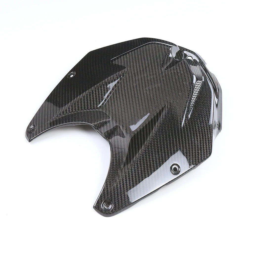 Carbon Airboxabdeckung BMW S 1000 RR 2009-2014