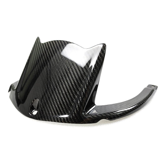 Carbon Hinterradabdeckung Kawasaki ZX-10R 2011-2024