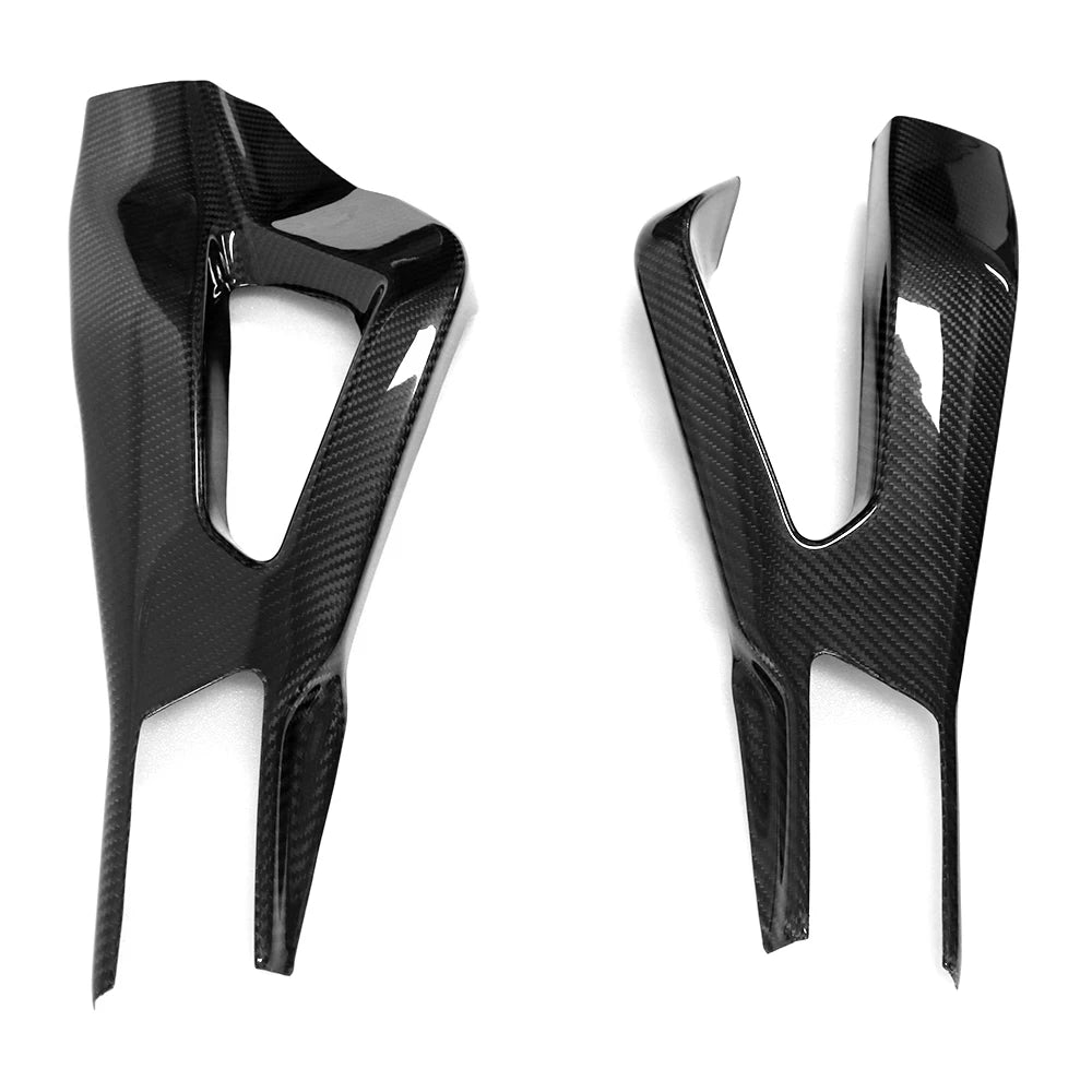 Carbon Schwingarmabdeckung BMW S 1000 RR 2019-2024