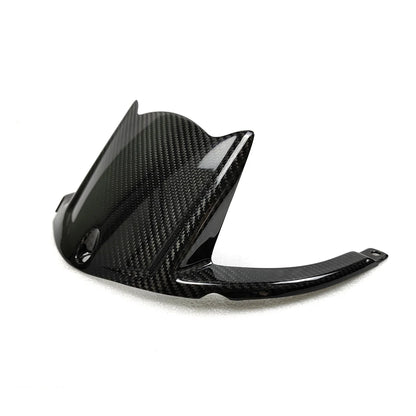 Carbon Hinterradabdeckung Kawasaki ZX-10R 2011-2024