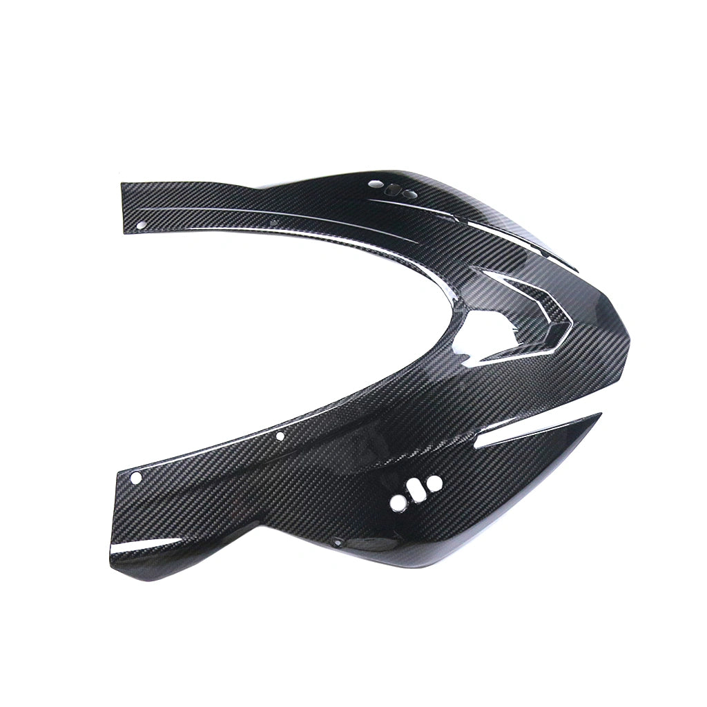 Carbon Frontverkleidung Aprilia RSV4 1100 2021-2024